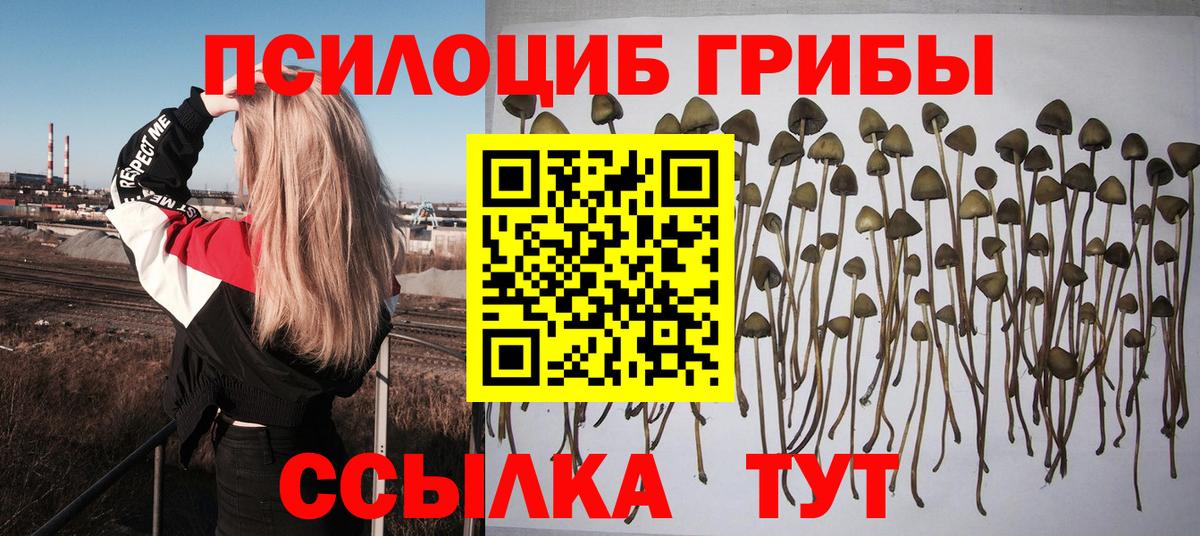 Бутурлиновка  Псилоцибиновые грибы прущие грибы  Вход с VPN 